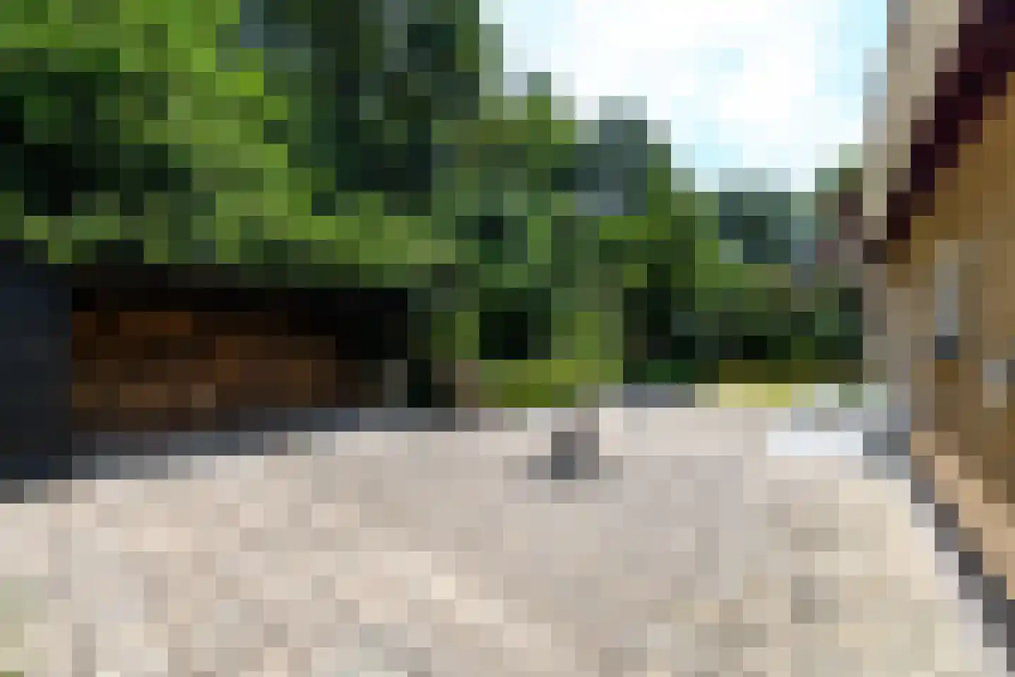 Parkkamp 10 Havelte thumbnail 22