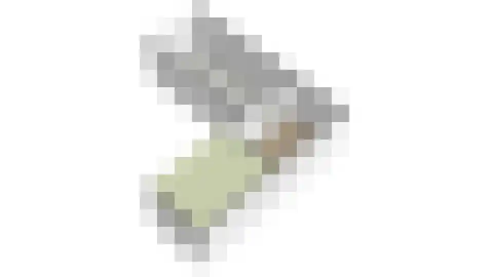 Parkkamp 10 Havelte thumbnail 30