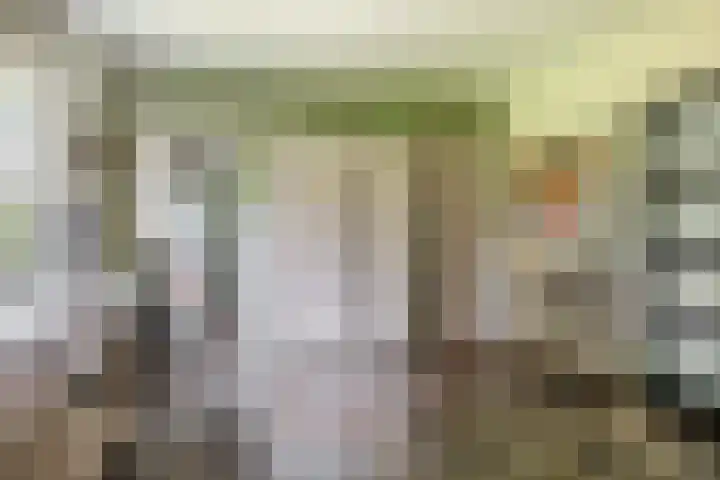 Parkkamp 37 Havelte thumbnail 17