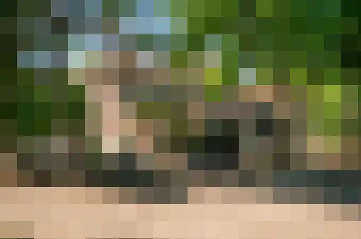 Parkkamp 37 Havelte thumbnail 19