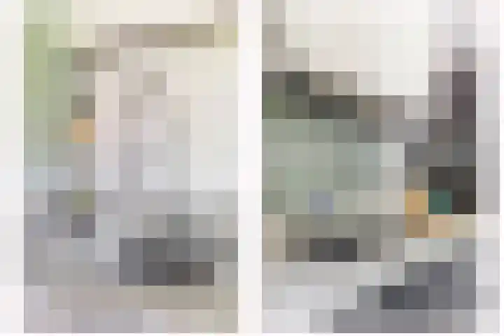 Parkkamp 37 Havelte thumbnail 20