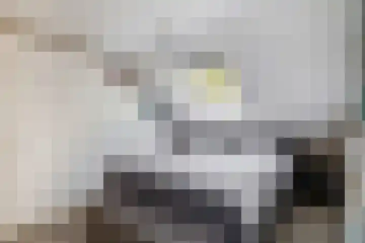 Parkkamp 37 Havelte thumbnail 39