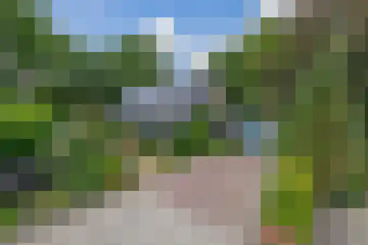 Parkkamp 37 Havelte thumbnail 4