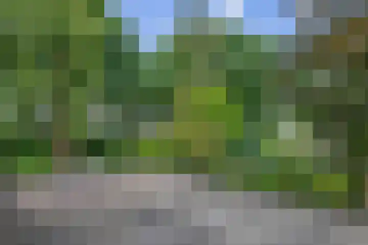 Parkkamp 37 Havelte thumbnail 42