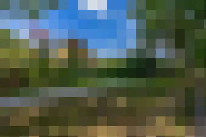 Parkkamp 37 Havelte thumbnail 59