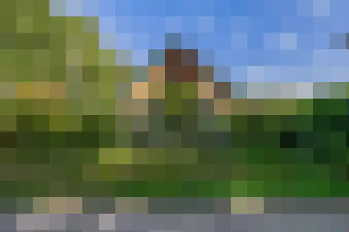 Parkkamp 37 Havelte thumbnail 60