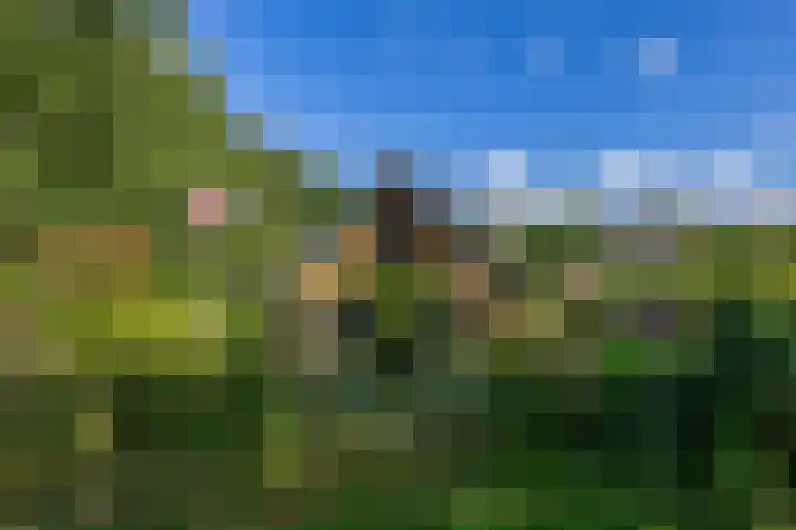 Parkkamp 37 Havelte thumbnail 61