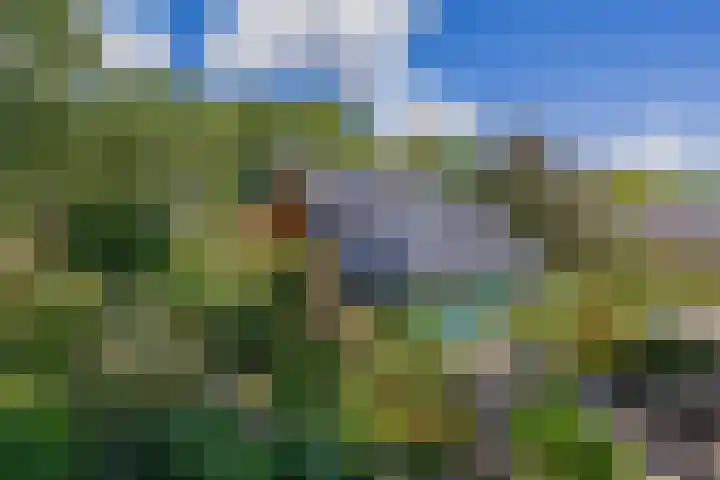 Parkkamp 37 Havelte thumbnail 62