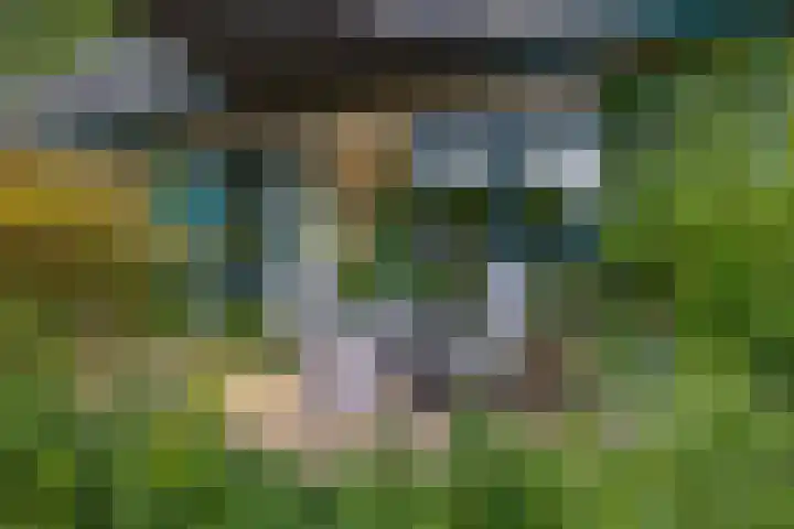 Parkkamp 37 Havelte thumbnail 64
