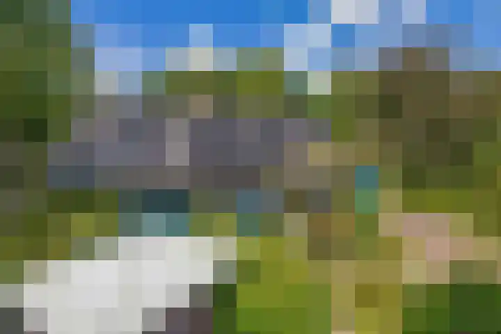 Parkkamp 37 Havelte thumbnail 66