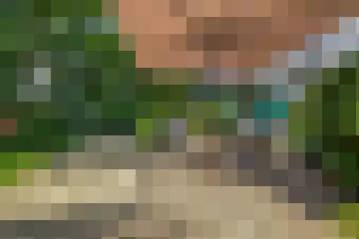 Parkkamp 37 Havelte thumbnail 70
