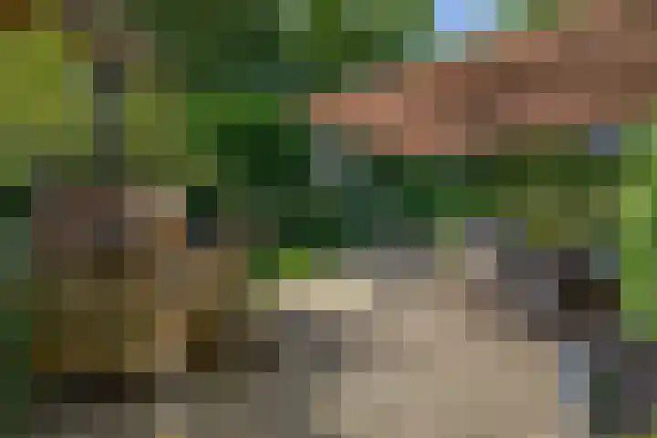 Parkkamp 37 Havelte thumbnail 71
