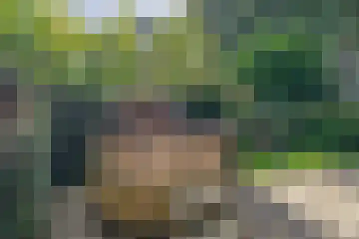 Parkkamp 37 Havelte thumbnail 72