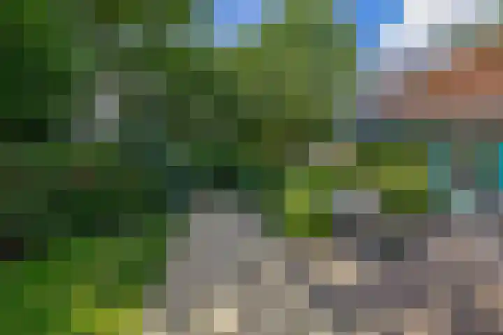 Parkkamp 37 Havelte thumbnail 73