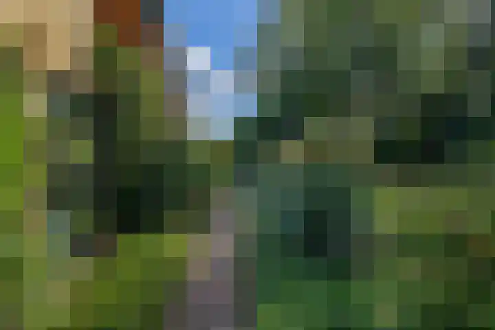 Parkkamp 37 Havelte thumbnail 74