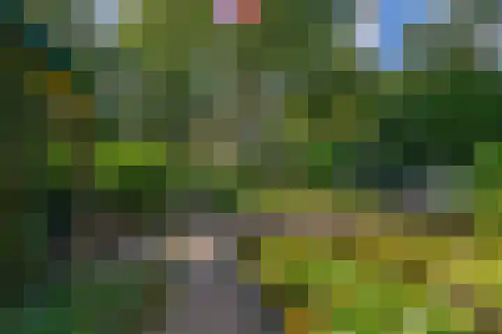 Parkkamp 37 Havelte thumbnail 78