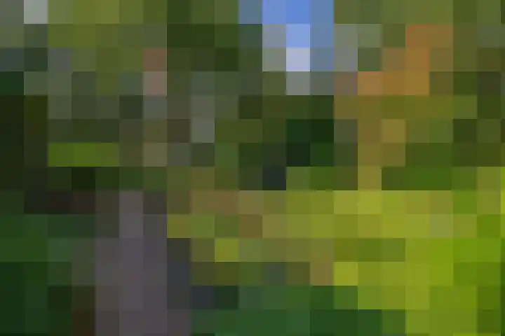 Parkkamp 37 Havelte thumbnail 79