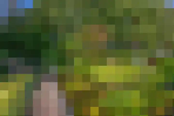Parkkamp 37 Havelte thumbnail 80