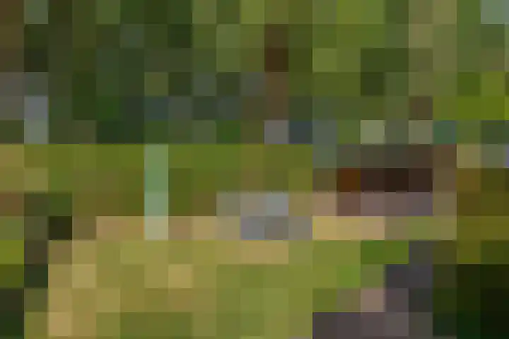 Parkkamp 37 Havelte thumbnail 83