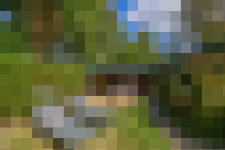Parkkamp 37 Havelte thumbnail 84