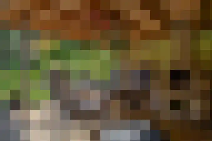 Parkkamp 37 Havelte thumbnail 87