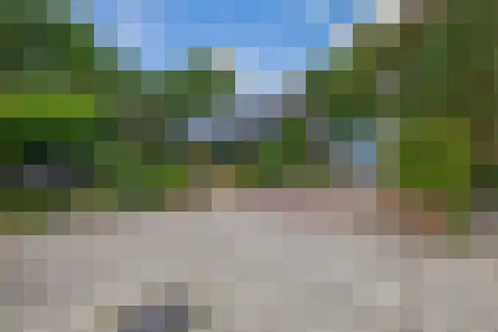 Parkkamp 37 Havelte thumbnail 88