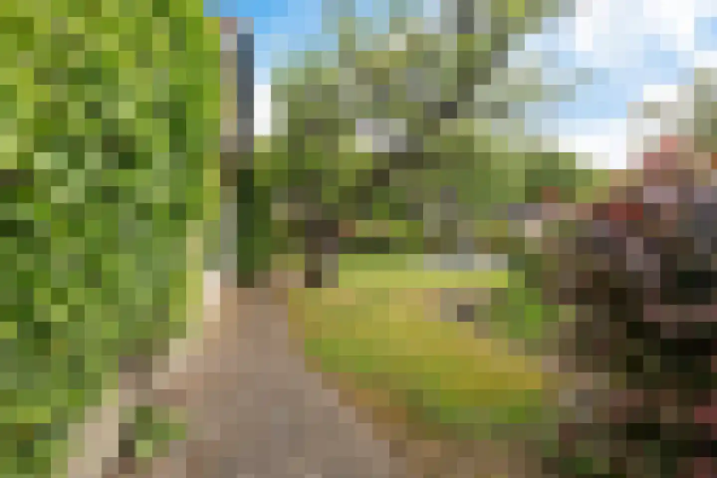 Parkkamp 38 Havelte thumbnail 39