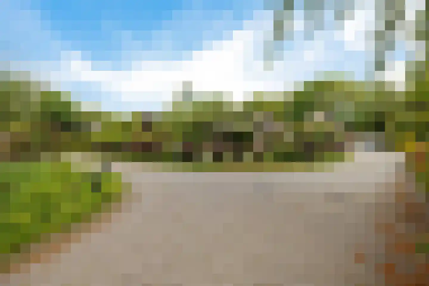 Parkkamp 38 Havelte thumbnail 4