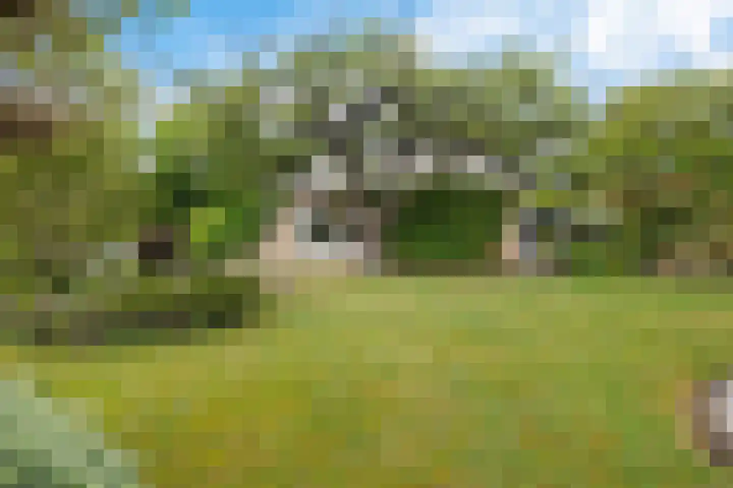 Parkkamp 38 Havelte thumbnail 41