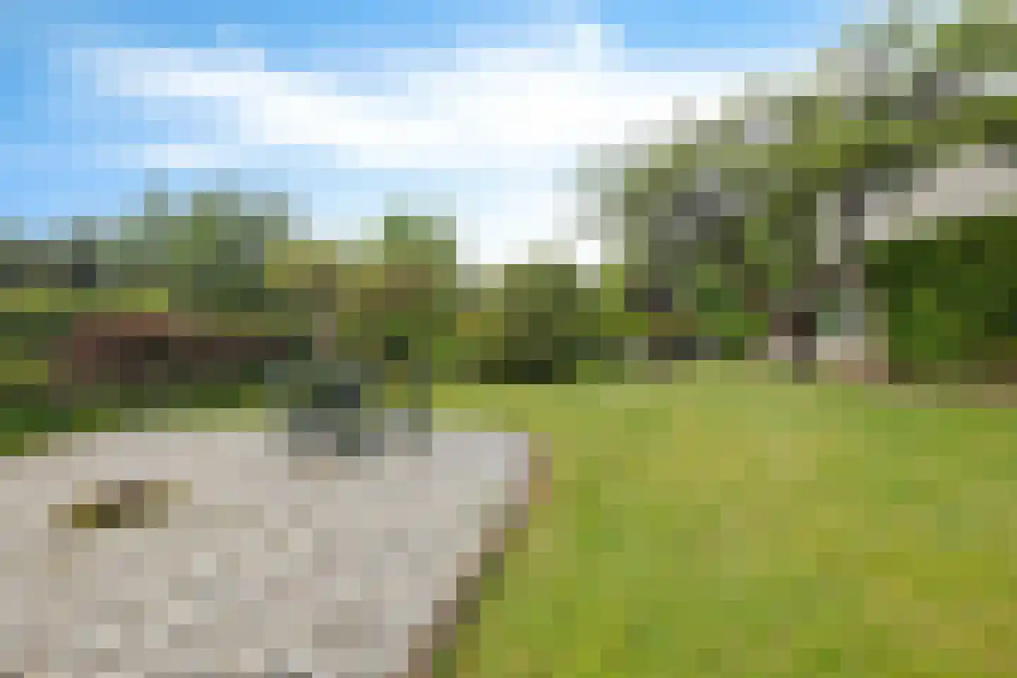 Parkkamp 38 Havelte thumbnail 42