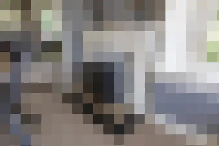 Parklaan 1 B Krommenie thumbnail 12
