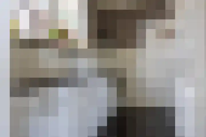 Parklaan 1 B Krommenie thumbnail 14