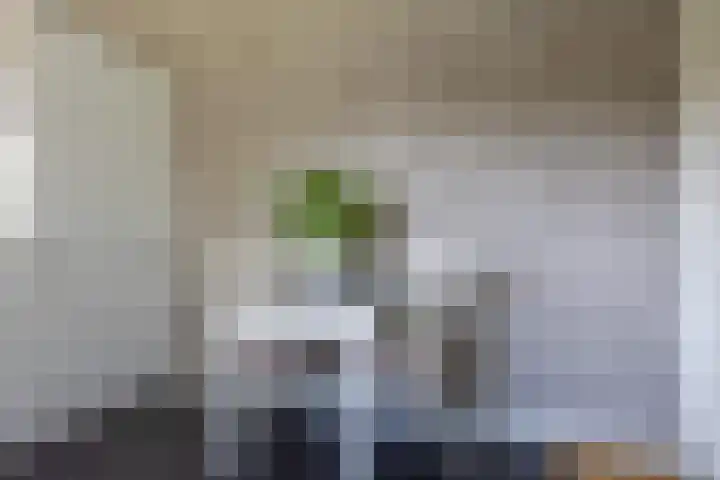 Parklaan 1 B Krommenie thumbnail 17