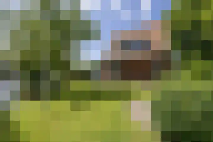 Parklaan 1 B Krommenie thumbnail 20