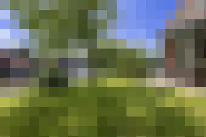 Parklaan 1 B Krommenie thumbnail 21