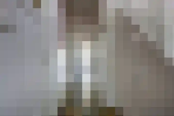 Parklaan 1 B Krommenie thumbnail 26