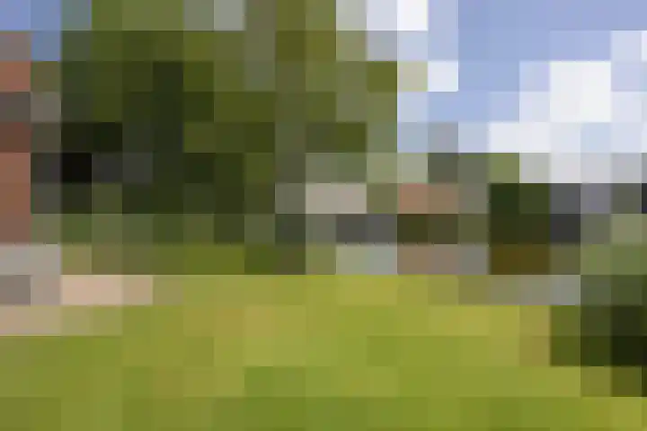 Parklaan 1 B Krommenie foto 3