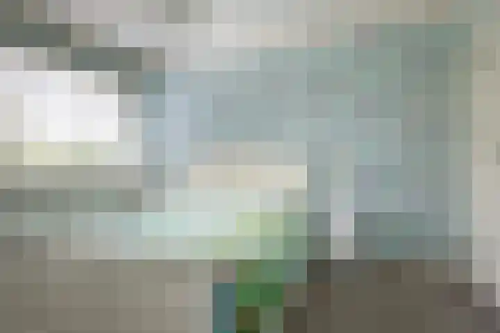 Parklaan 1 B Krommenie thumbnail 31