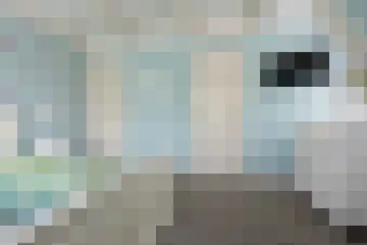 Parklaan 1 B Krommenie thumbnail 32