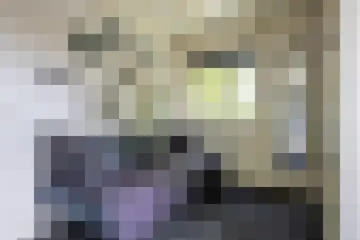 Parklaan 1 B Krommenie thumbnail 34