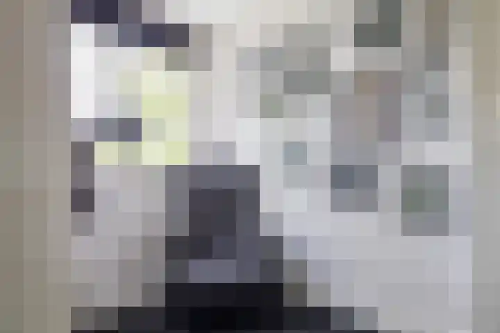 Parklaan 1 B Krommenie thumbnail 35