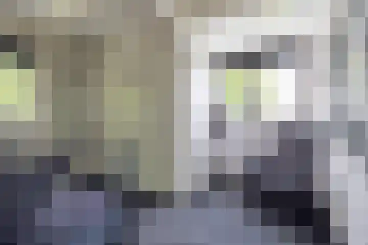 Parklaan 1 B Krommenie thumbnail 36