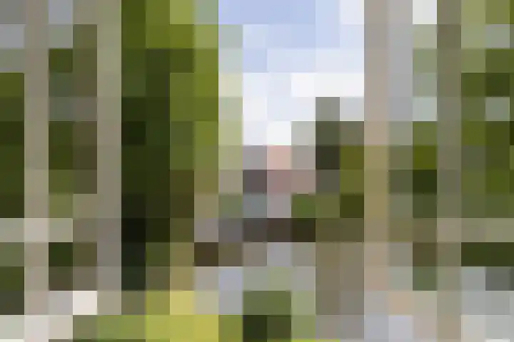 Parklaan 1 B Krommenie thumbnail 37