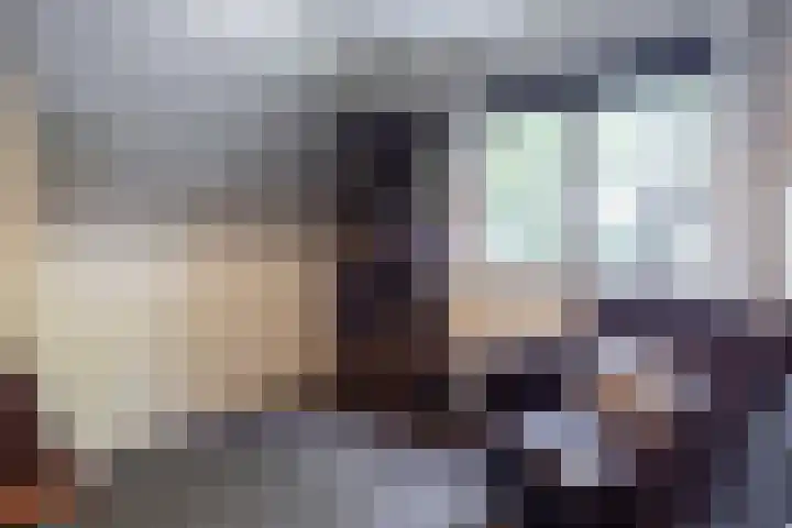 Parklaan 1 B Krommenie thumbnail 38