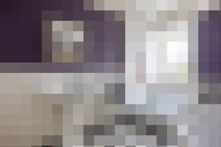Parklaan 1 B Krommenie thumbnail 43