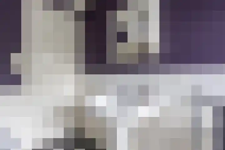 Parklaan 1 B Krommenie thumbnail 44