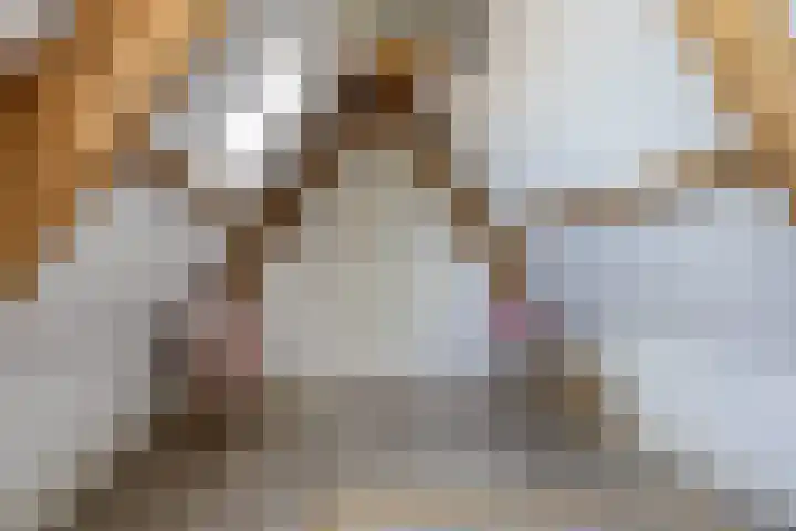 Parklaan 1 B Krommenie thumbnail 47