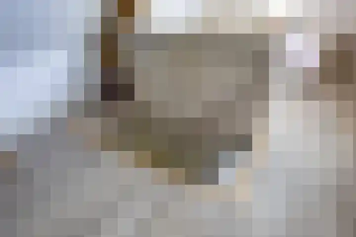 Parklaan 1 B Krommenie thumbnail 49