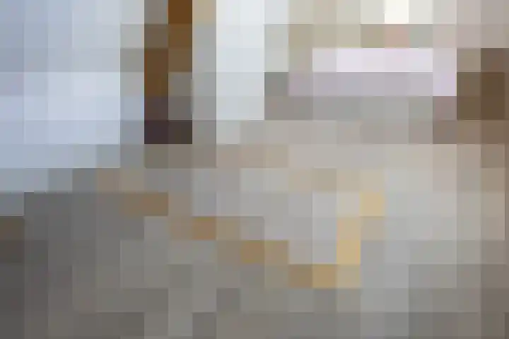 Parklaan 1 B Krommenie thumbnail 50