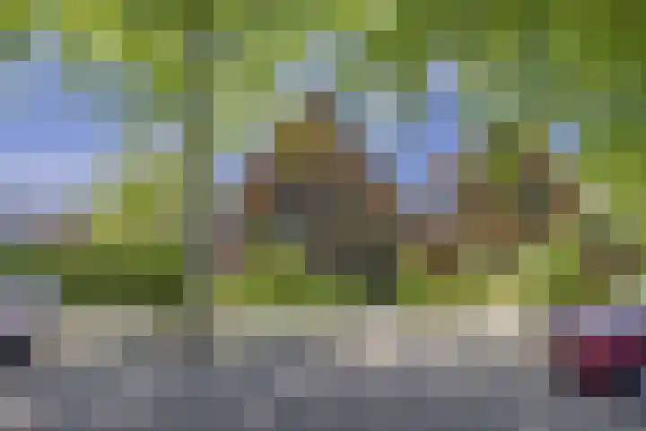 Parklaan 1 B Krommenie thumbnail 54